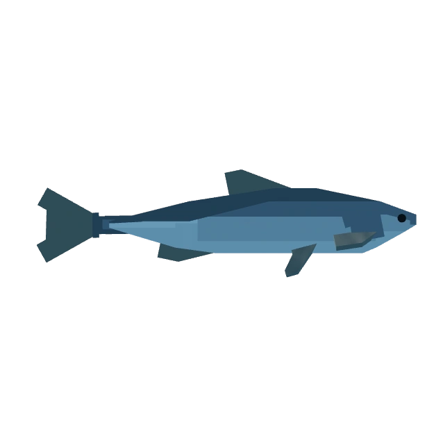 Sardine